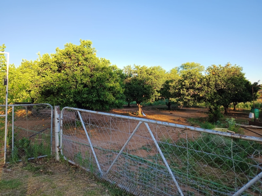 5 Bedroom Property for Sale in Koster North West